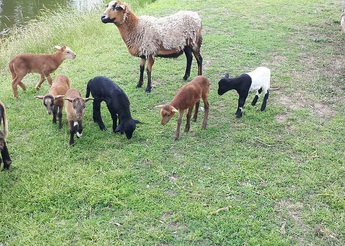 Casa rural Hof Richert Mellen